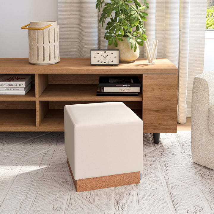 Living Room Storage and Organization Solutions