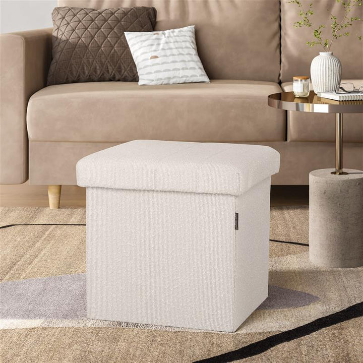 Storage Ottomans and Trunks
